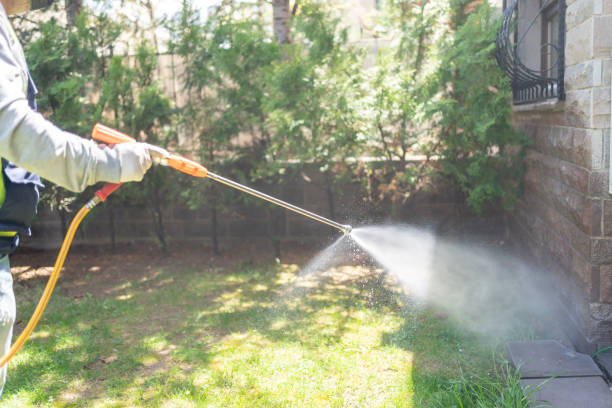 Best Residential Pest Control  in Albers, IL